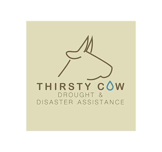 Thirsty-Cow