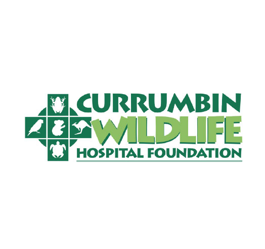 currumbin-wildlife