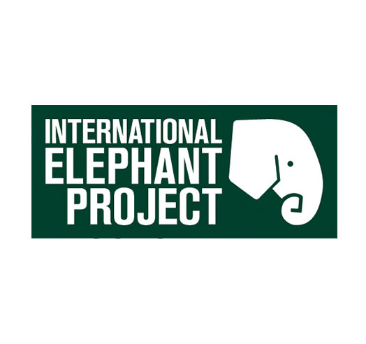 international-elephant-project